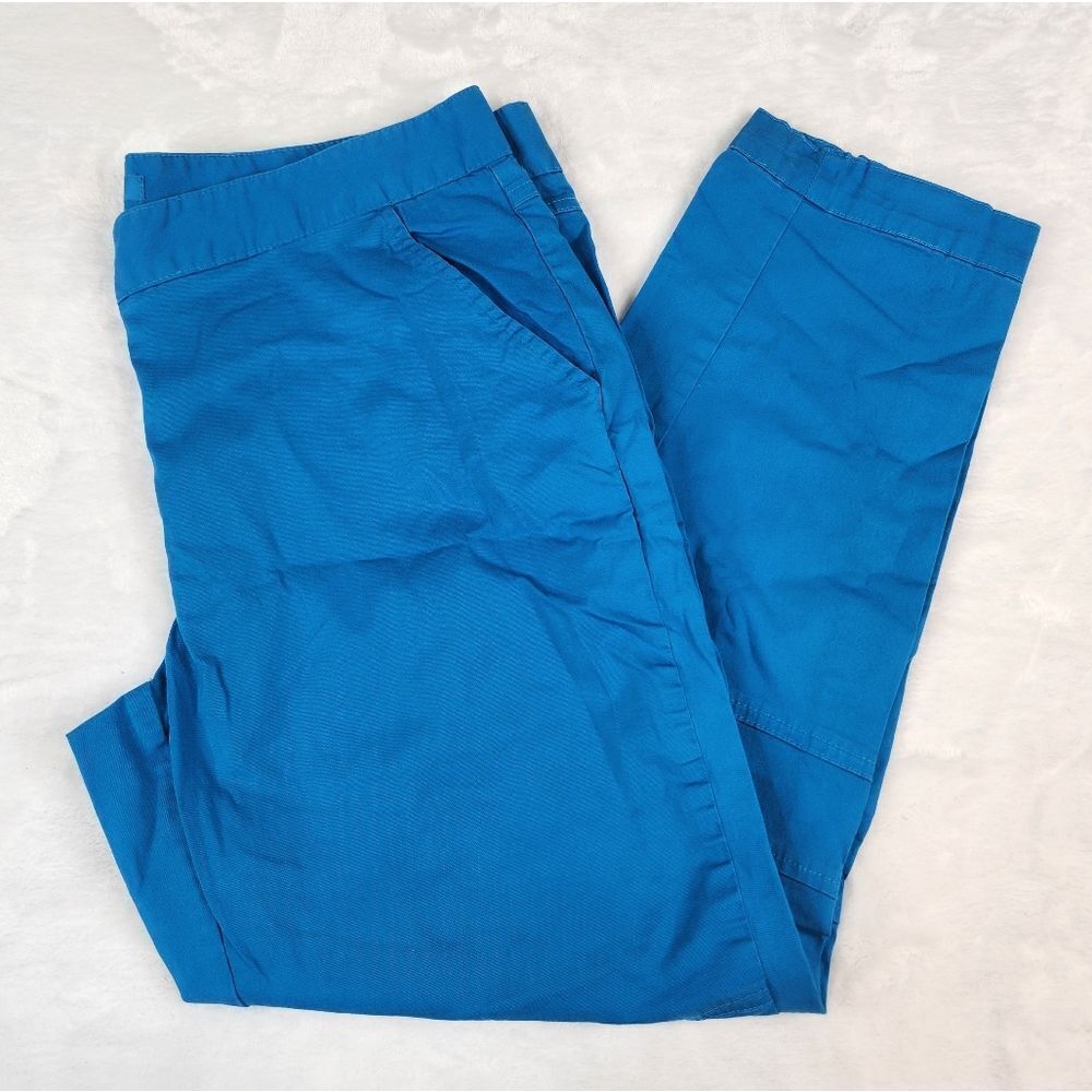 Derek Lam Design Nation Pieced Seamed Atlantic Blue Slim Crop Pants Sz 12